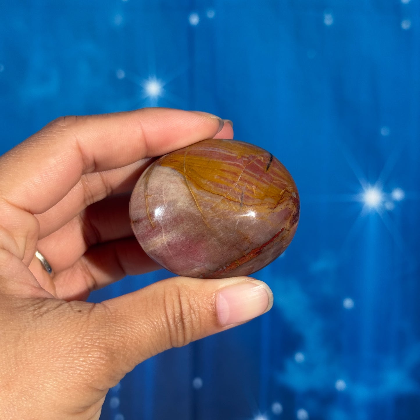 Petrified Wood Palm Stone – 0.094 kg