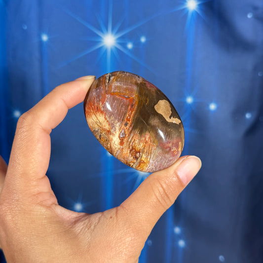 Petrified Wood Palm Stone – 0.105 kg