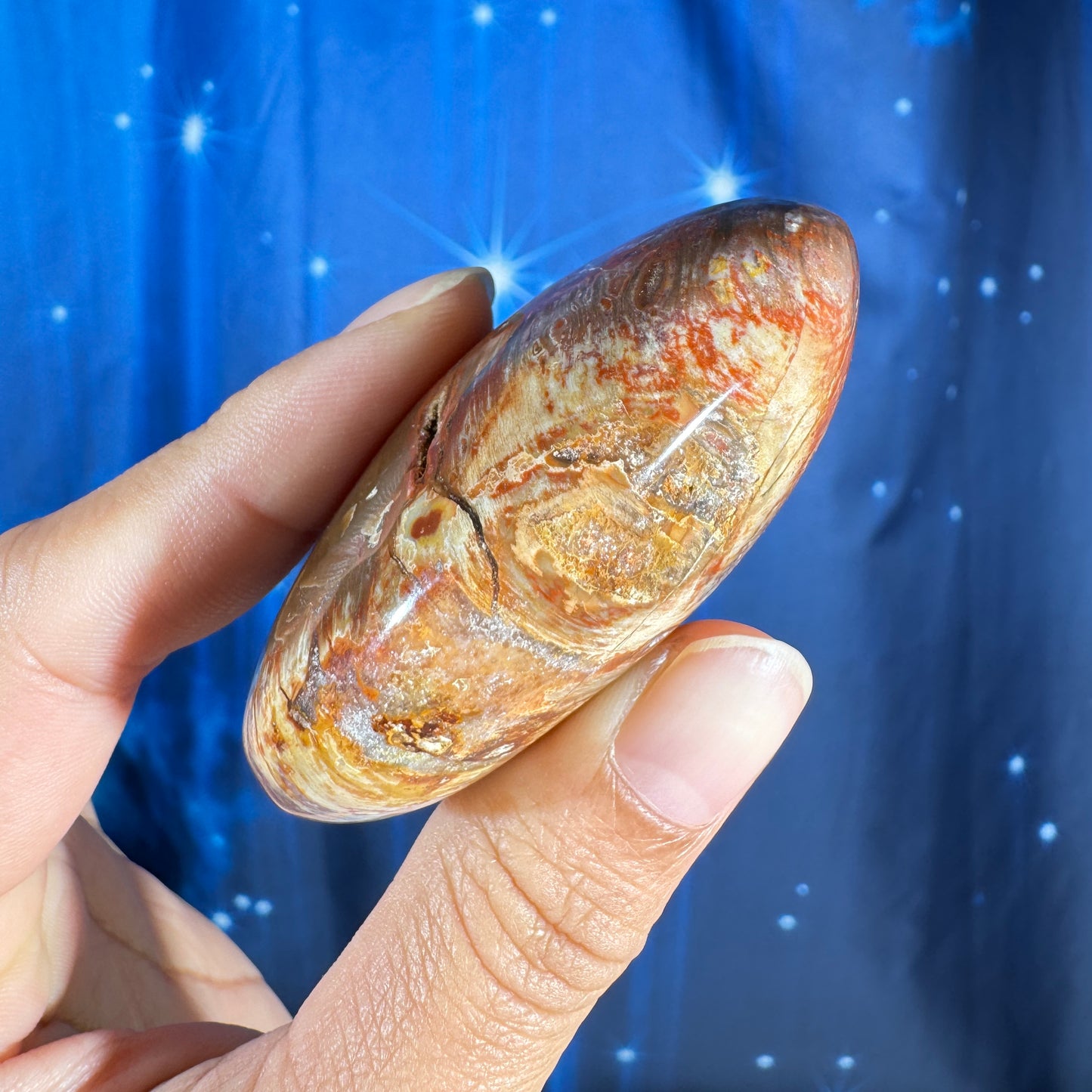 Petrified Wood Palm Stone – 0.105 kg