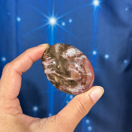 Petrified Wood Palm Stone – 0.105 kg