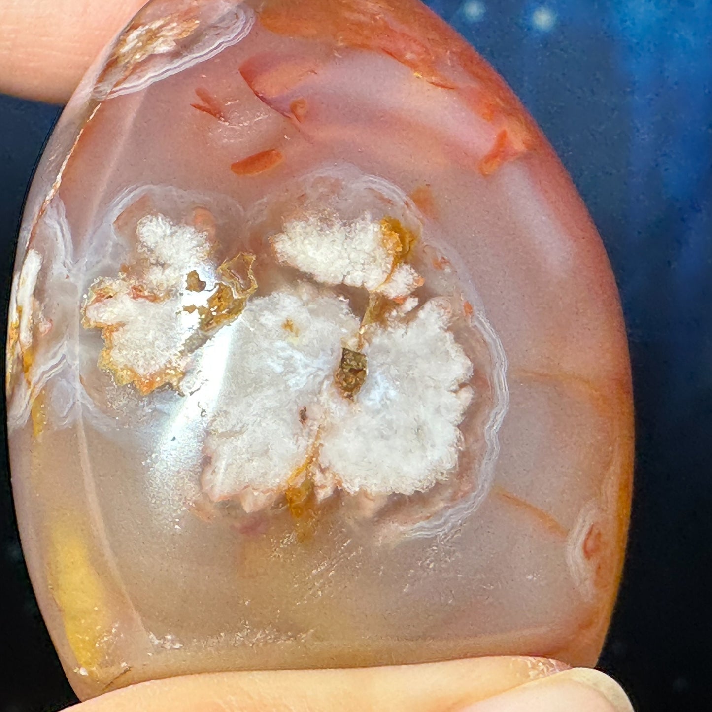 Flower Agate free form | 2 1/2" tall | 144 grams | gorgeous Flower Agate flame | red Flower Agate | pink Flower Agate | Tucson find