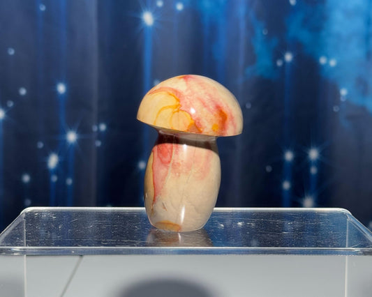 Polychrome Jasper mushroom | 2 3/8" tall | 116 grams | Damage Discount | Desert Jasper