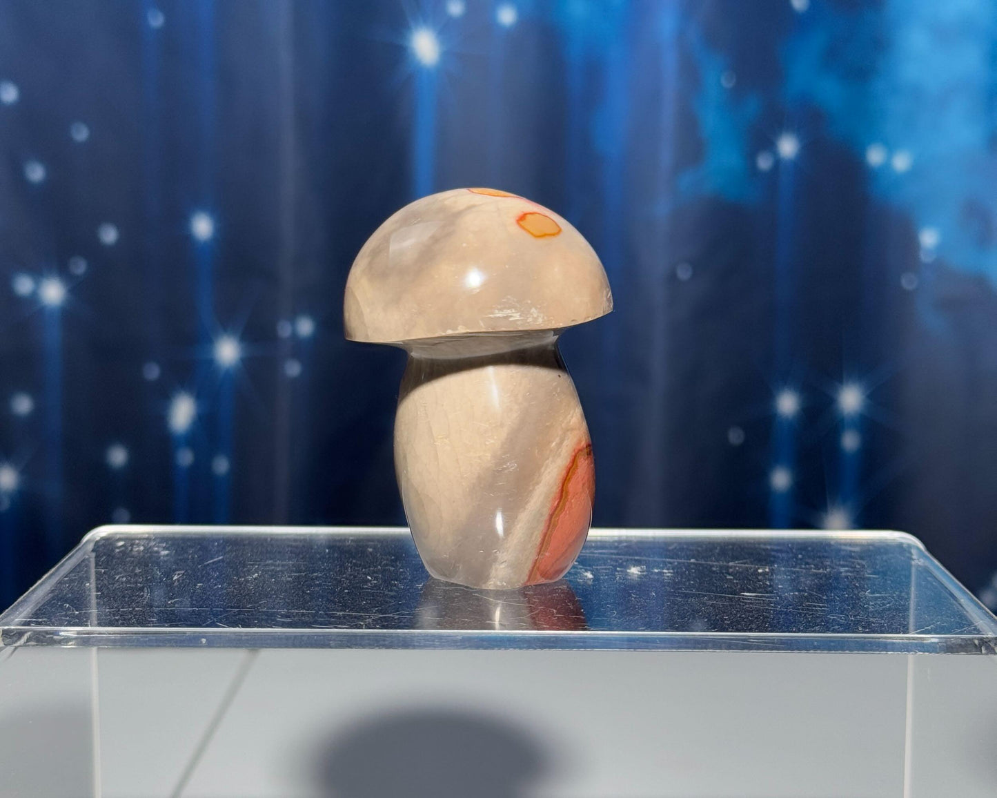 Polychrome Jasper mushroom | 2 3/8" tall | 116 grams | Damage Discount | Desert Jasper