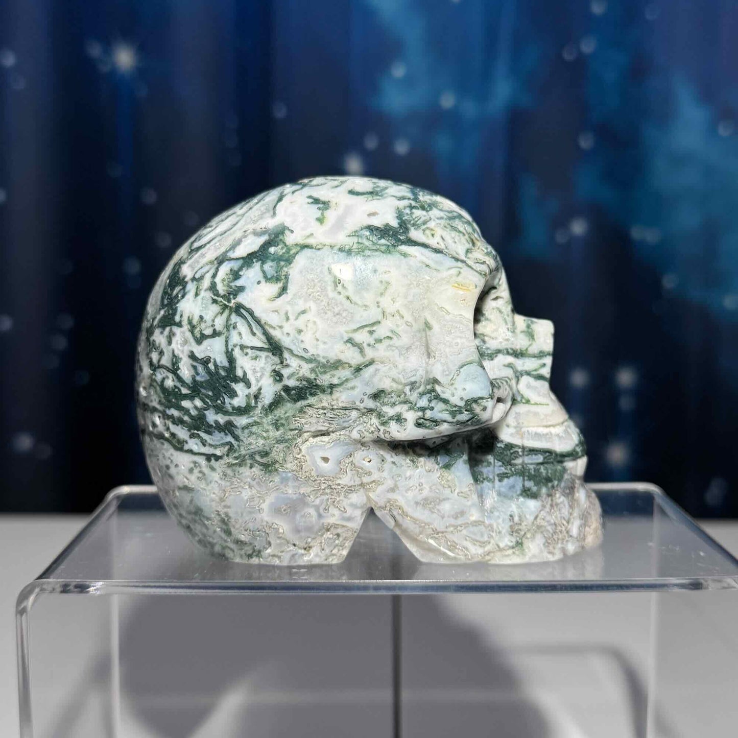 druzy Moss Agate skull | 4 1/8" long | 785 grams | large skull |