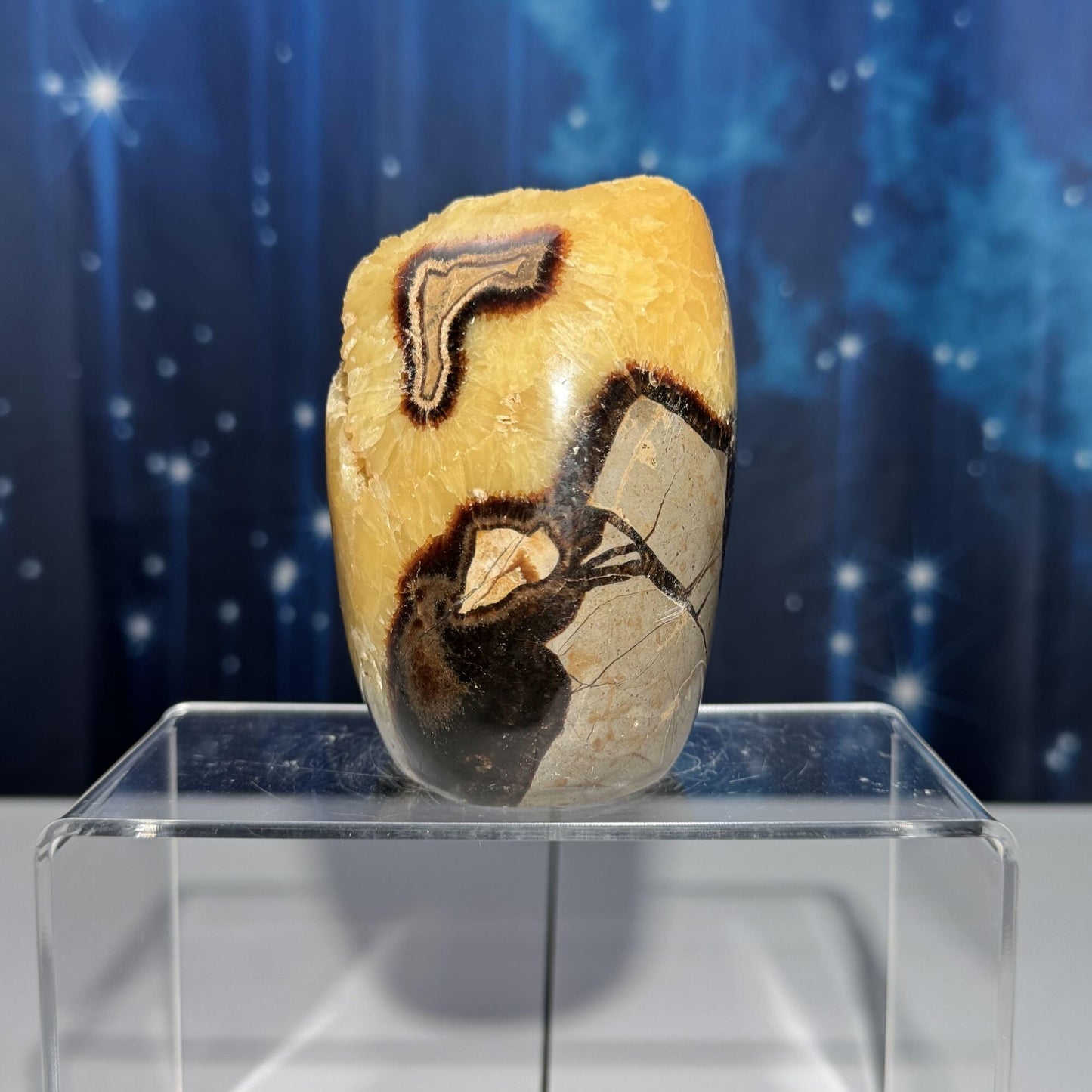 Septarian Geode free form | 4" tall | 816 grams | Damage Discount