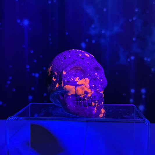 Sodalite Syenite skull | 3 3/4” long | 644 grams | UV reactive Sodalite