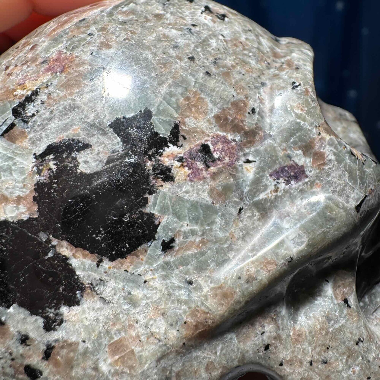 Sodalite Syenite skull | 3 3/4” long | 644 grams | UV reactive Sodalite