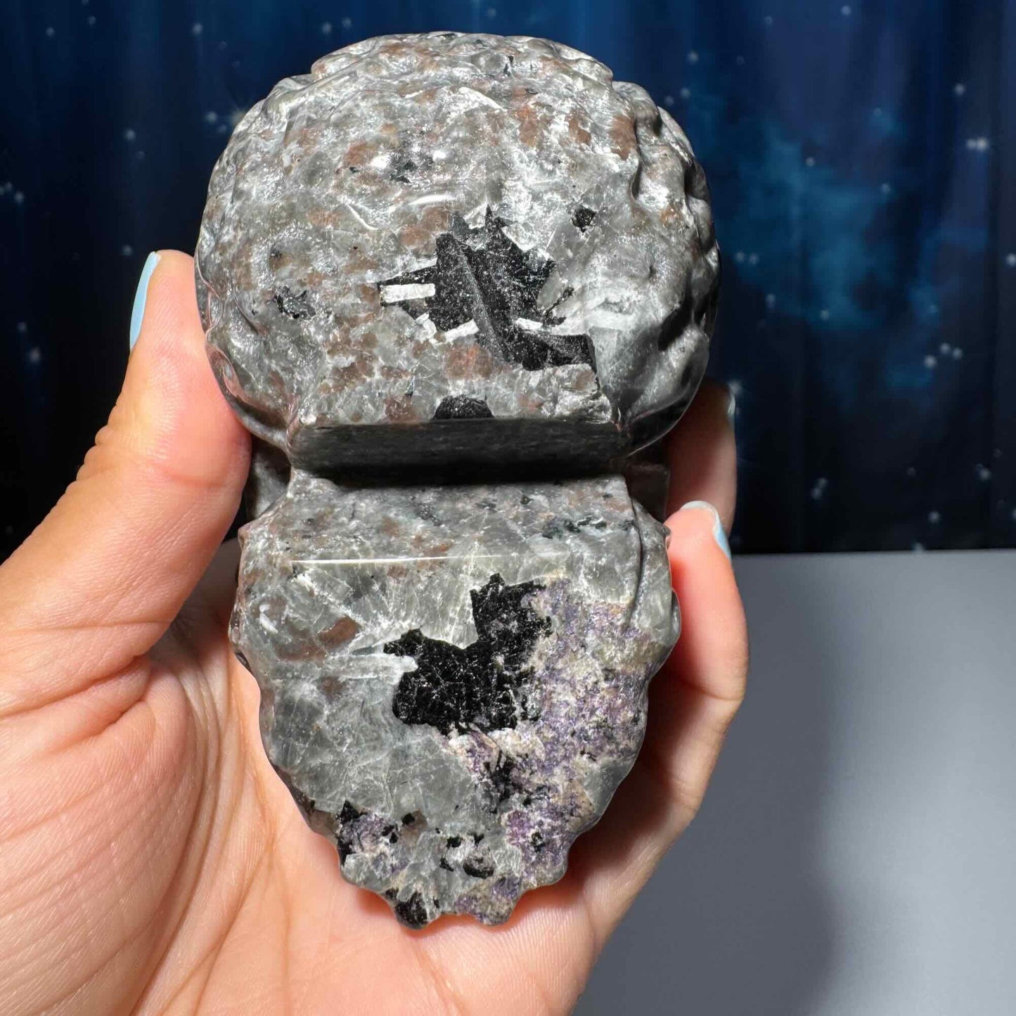 Sodalite Syenite skull | 3 7/8" long | 638 grams | textured skull | engraved skull | hand carved | UV reactive Sodalite skull