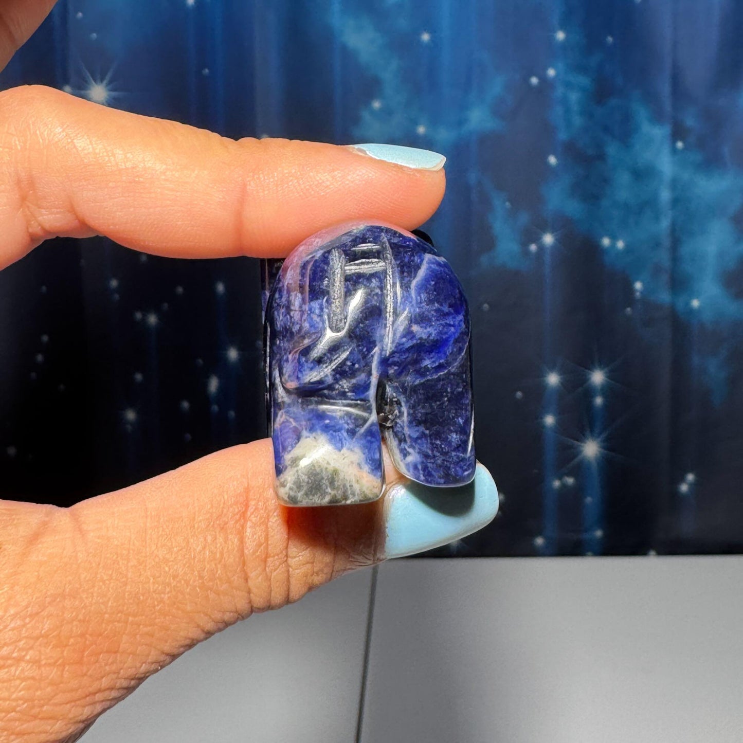 Mini Sodalite elephant carving | 2” long | 45 grams | trunk up elephant