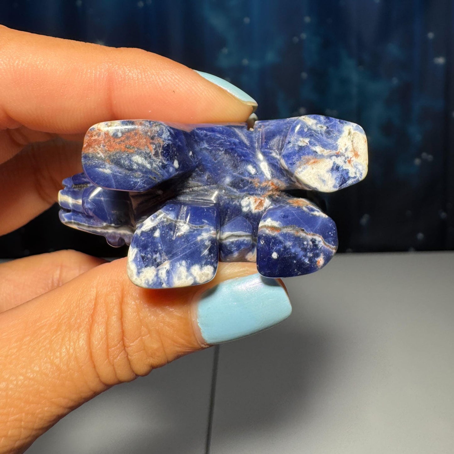 Mini Sodalite Elephant carving | 2” long | 45 grams | trunk up elephant