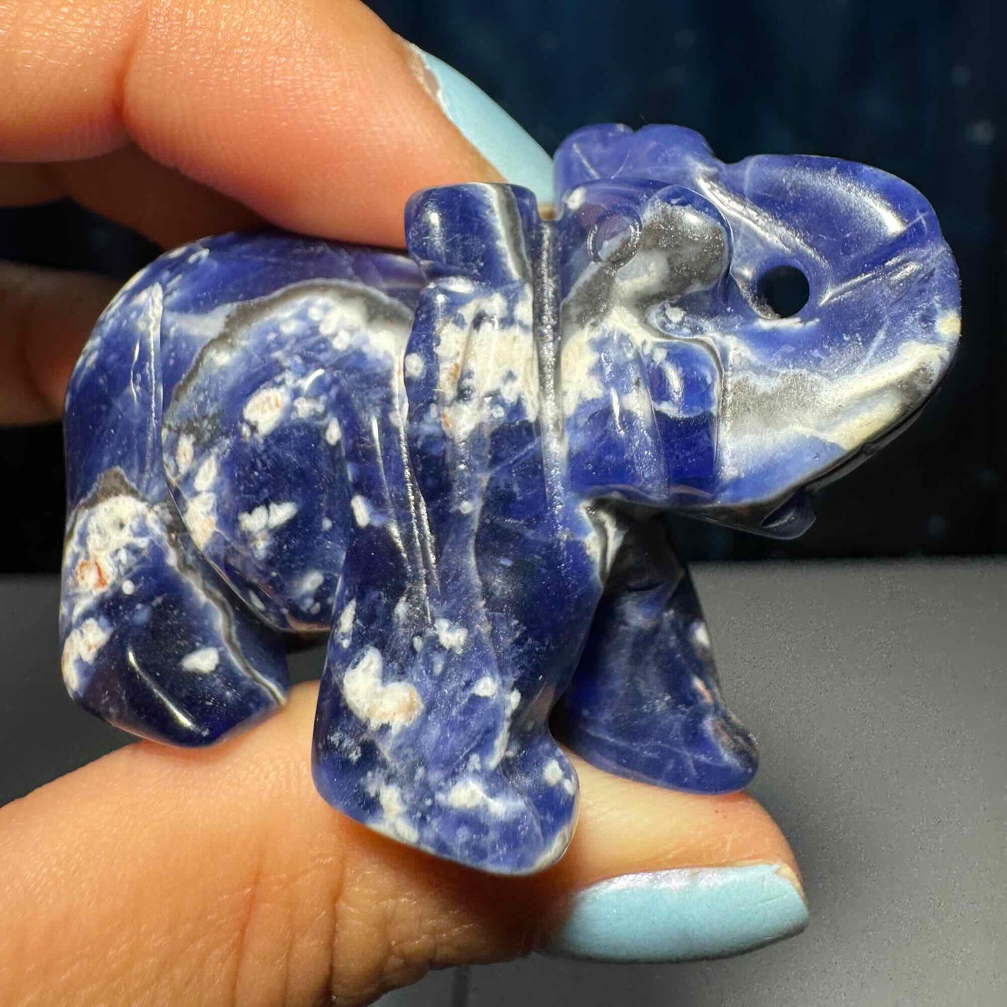 Mini Sodalite Elephant carving | 2” long | 45 grams | trunk up elephant
