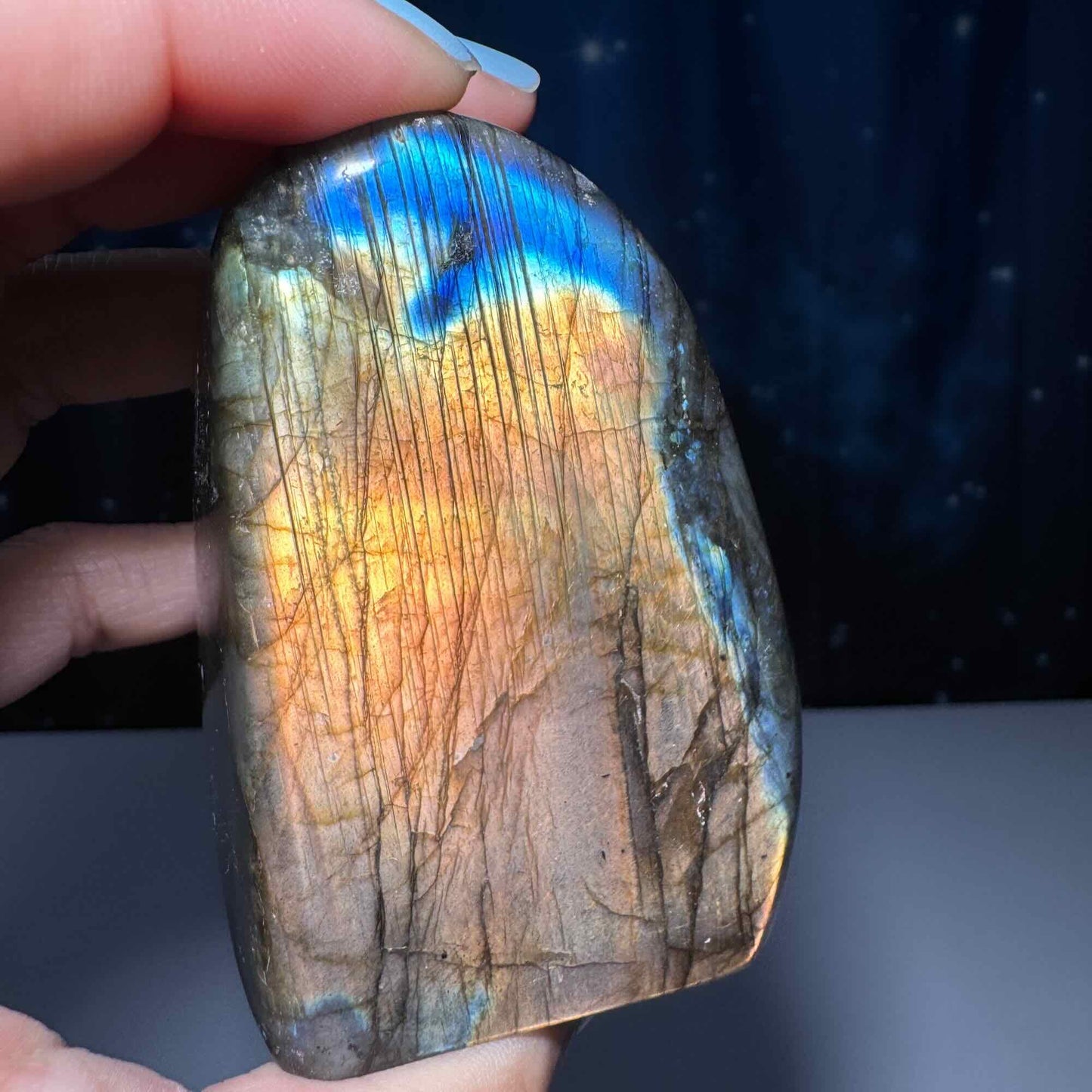 Labradorite free form | 3 1/8" long | 303 grams | dual flash | orange flash | blue flash yellow flash