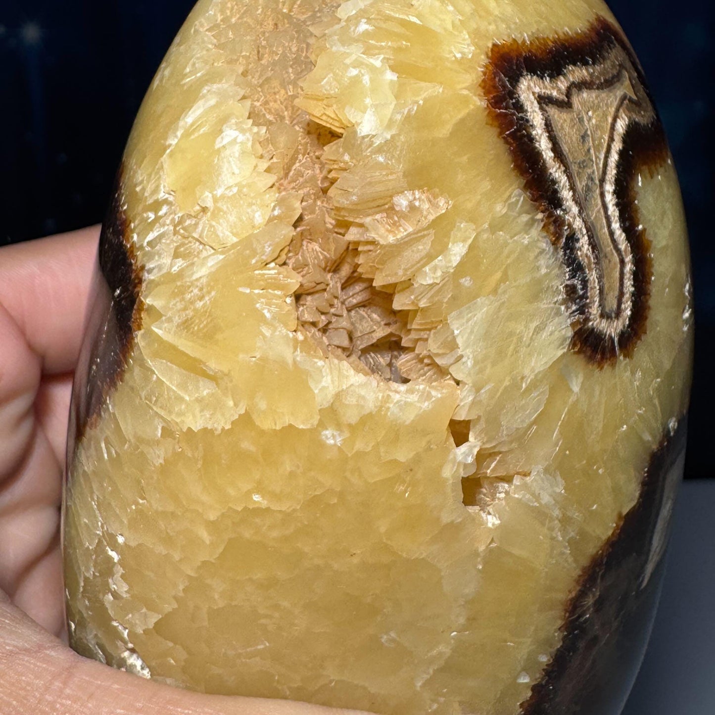 Septarian Geode free form | 4" tall | 816 grams | Damage Discount