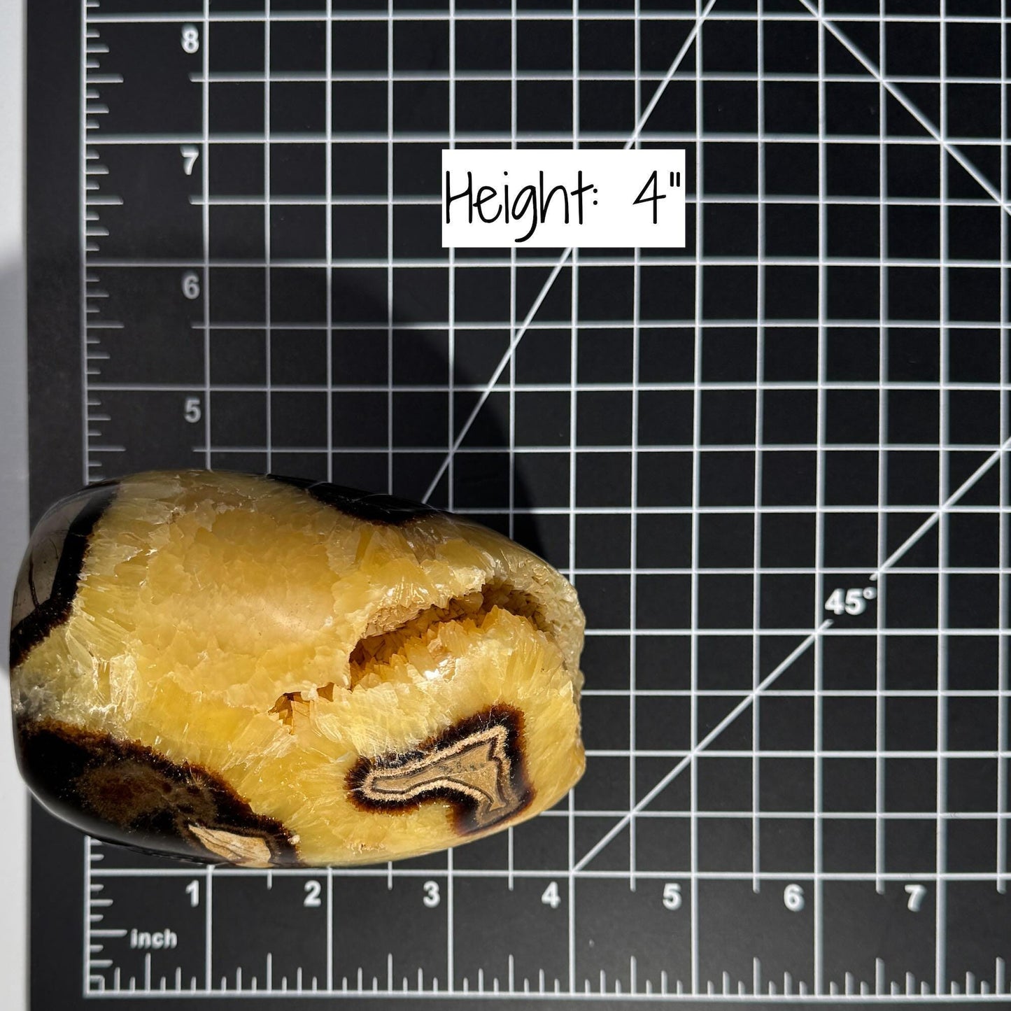 Septarian Geode free form | 4" tall | 816 grams | Damage Discount