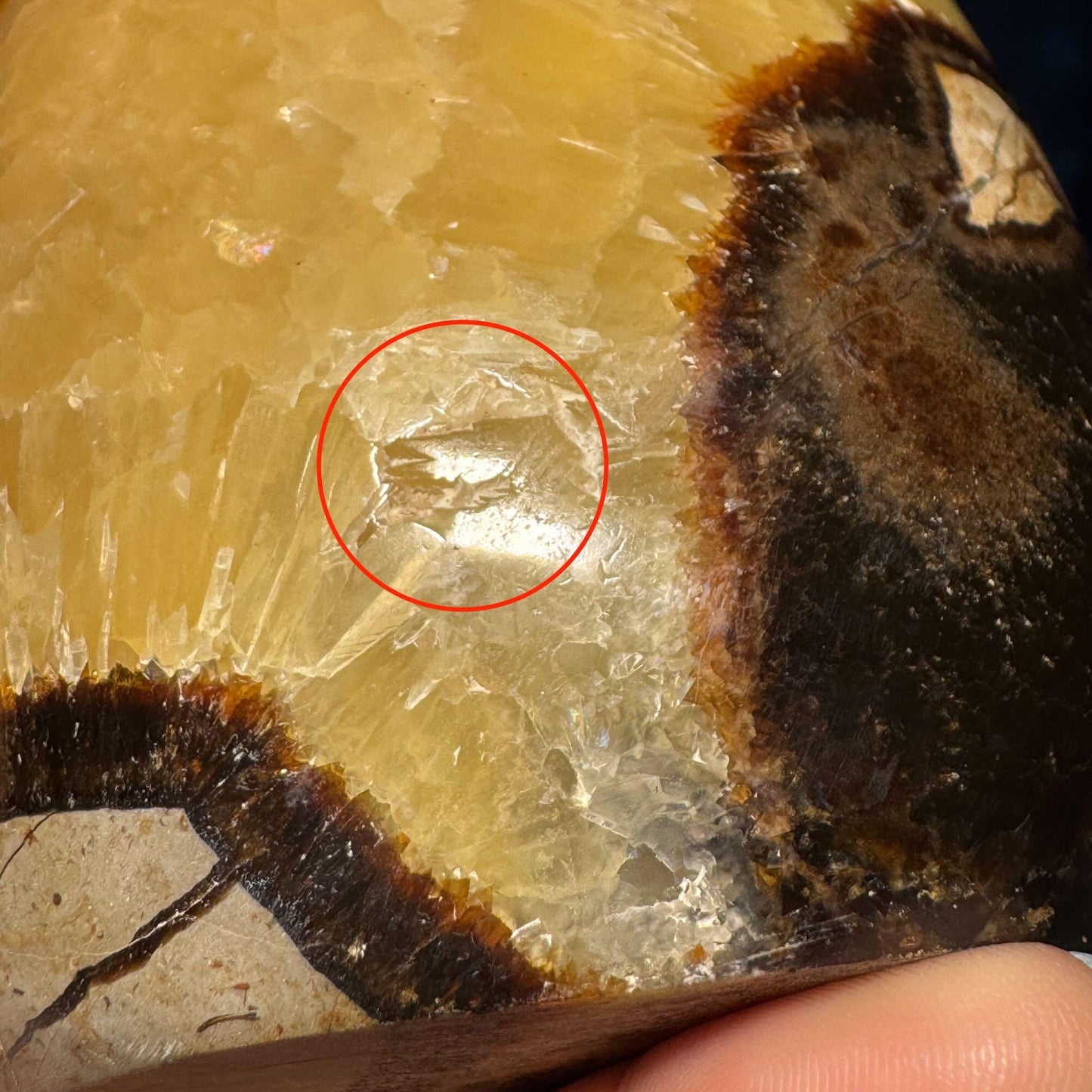 Septarian Geode free form | 4" tall | 816 grams | Damage Discount