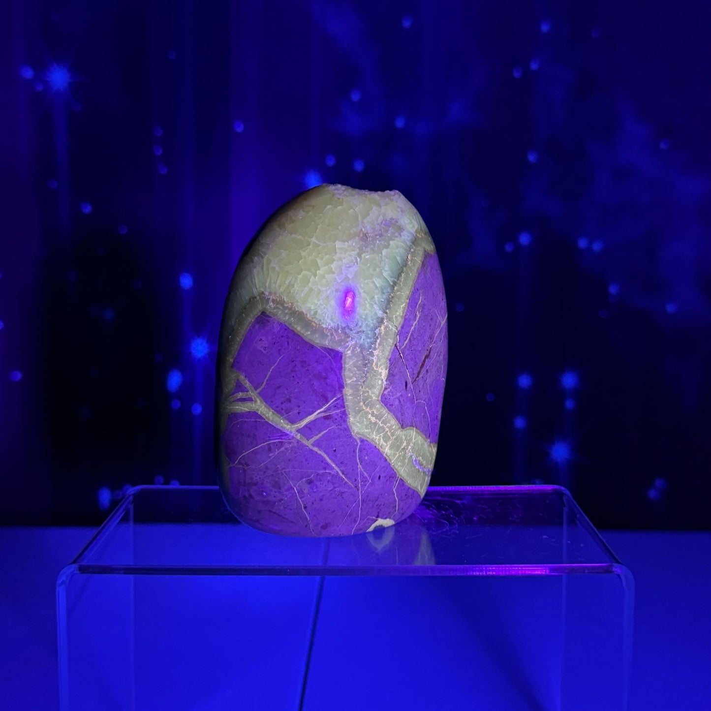 Septarian Geode free form | 4" tall | 816 grams | Damage Discount