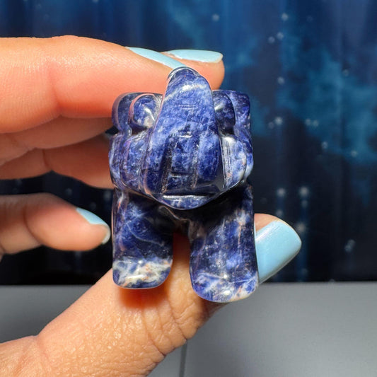 Mini Sodalite elephant carving | 2” long | 45 grams | trunk up elephant