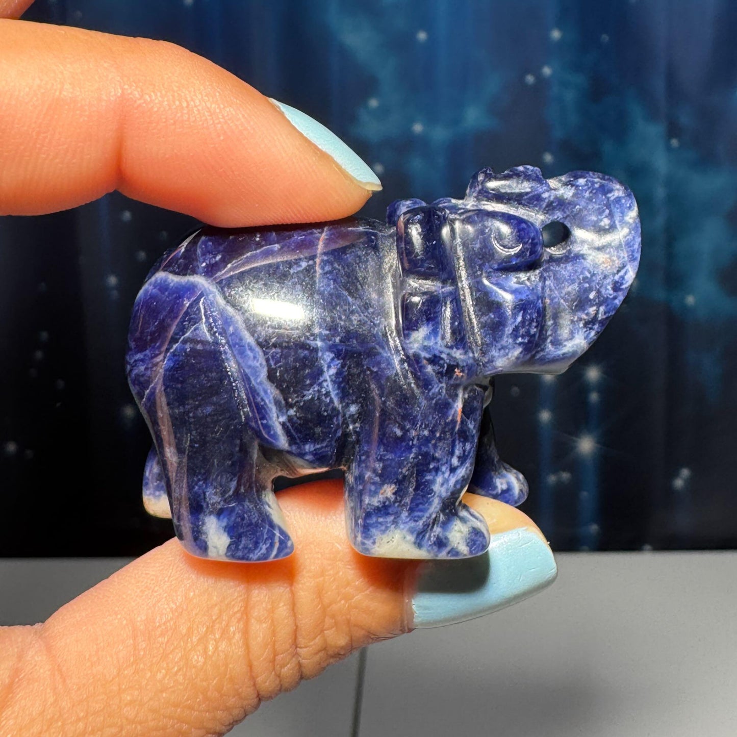Mini Sodalite elephant carving | 2” long | 45 grams | trunk up elephant