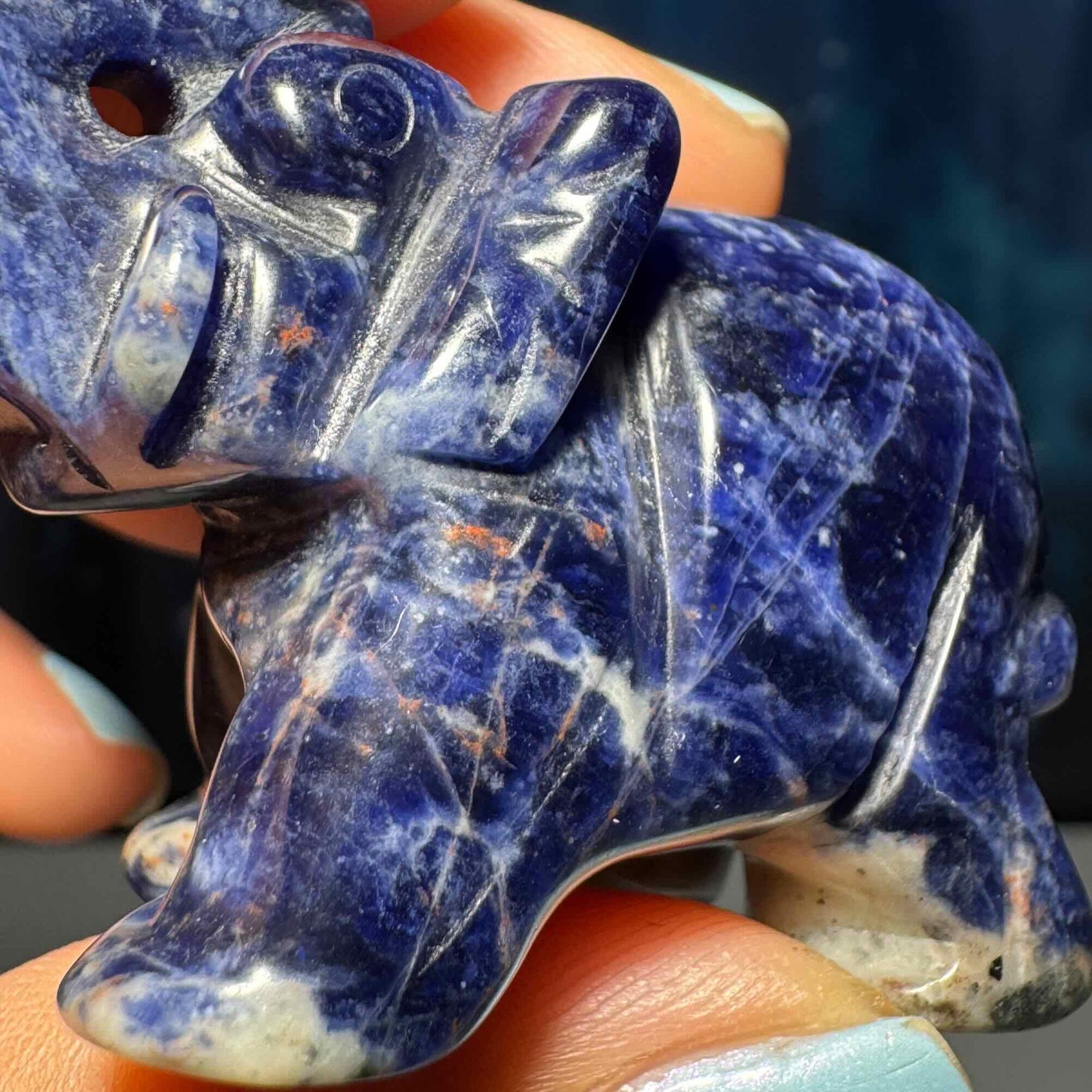 Mini Sodalite elephant carving | 2” long | 45 grams | trunk up elephant