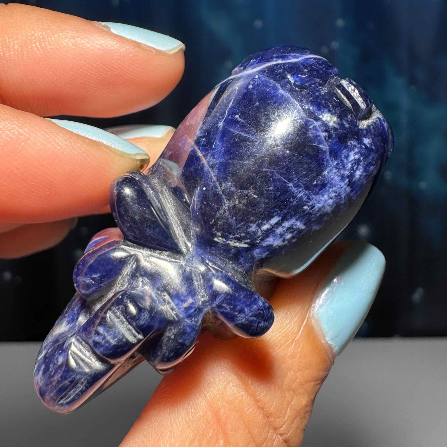 Mini Sodalite elephant carving | 2” long | 45 grams | trunk up elephant