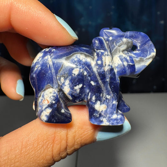 Mini Sodalite Elephant carving | 2” long | 45 grams | trunk up elephant