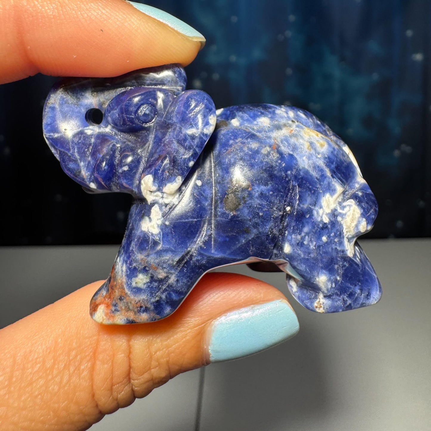 Mini Sodalite Elephant carving | 2” long | 45 grams | trunk up elephant