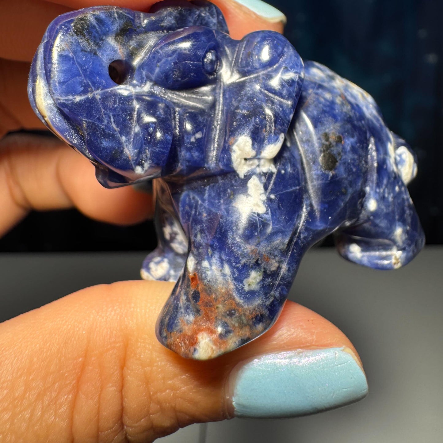 Mini Sodalite Elephant carving | 2” long | 45 grams | trunk up elephant