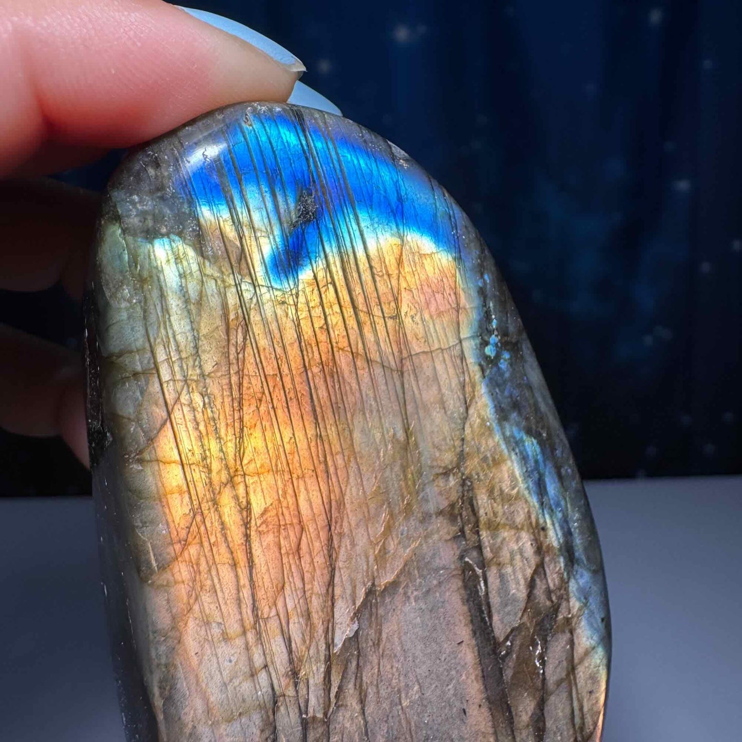 Labradorite free form | 3 1/8" long | 303 grams | dual flash | orange flash | blue flash yellow flash
