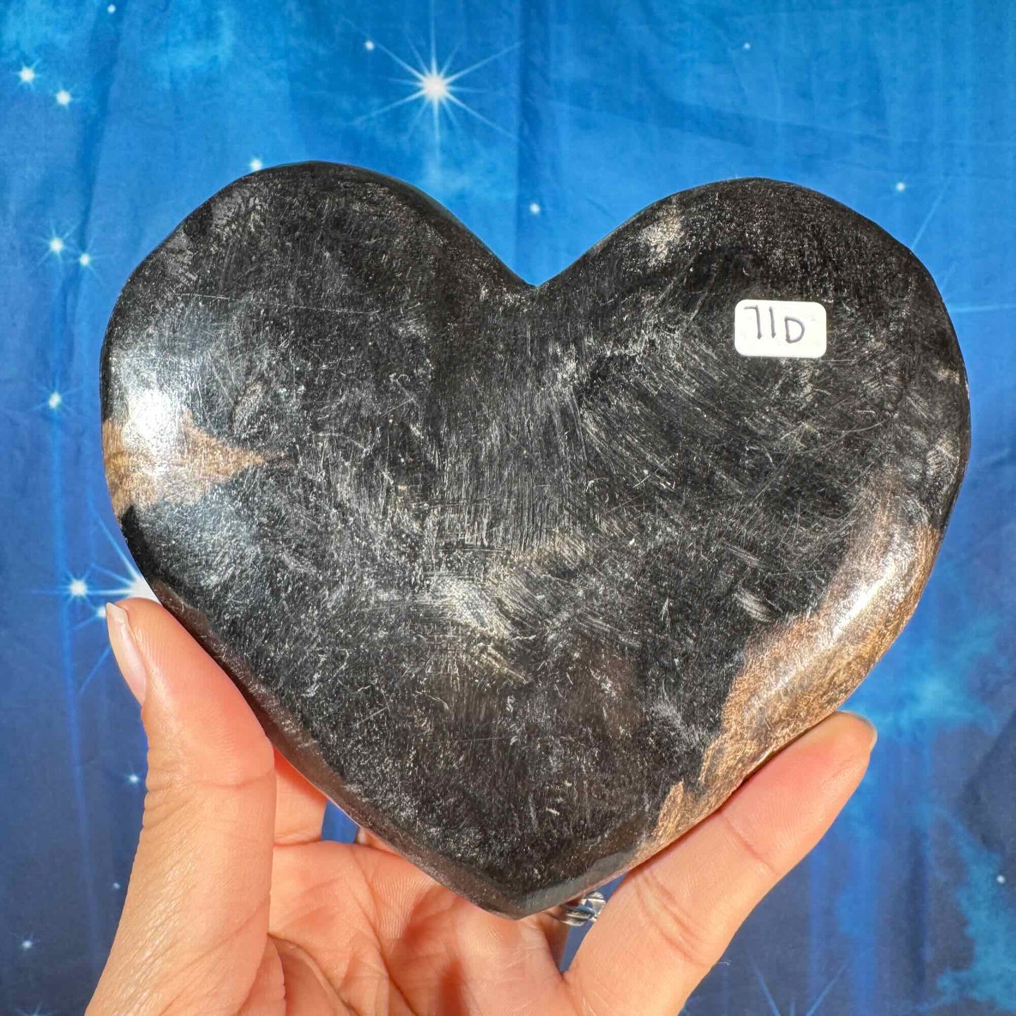 Petrified wood heart - 5 1/8" × 3/4" × 4 1/4" - 13.4 oz