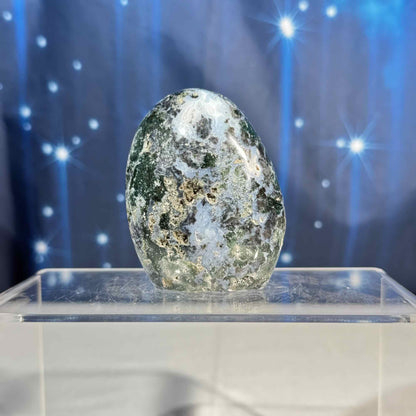 Sea jasper free form - 2 1/4" × 1 1/4" × 2 7/8" - 6.5 oz