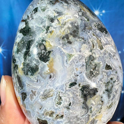 Sea jasper free form - 2 7/8" × 1 3/4" × 3 3/4" - 13.7 oz