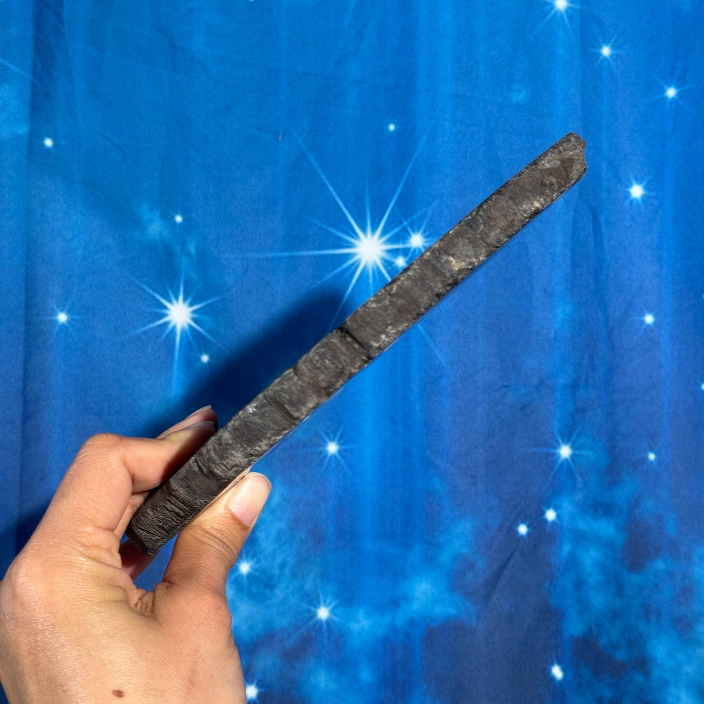 Petrified wood slab - 7 1/4" × 4 1/8" × 5/8" - 15.3 oz