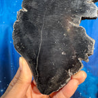 Petrified Wood Slab – 0.434 kg