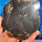 Petrified Wood Slab – 0.536 kg