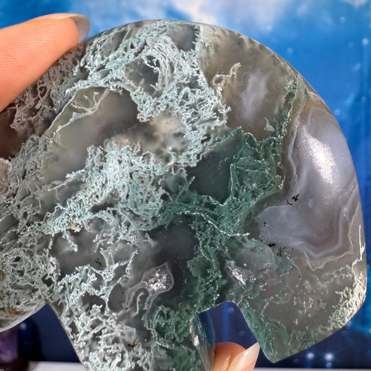 Moss Agate Bear – 0.164 kg