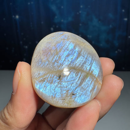 Belomorite palm stone - 1 7/8 × 1 5/8 × 5/8 in - 1.6 oz