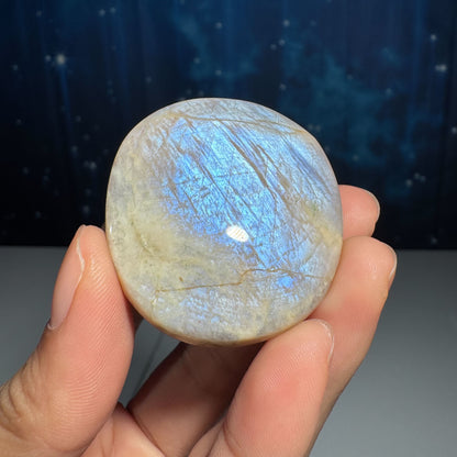 Belomorite palm stone - 1 7/8 × 1 5/8 × 5/8 in - 1.6 oz