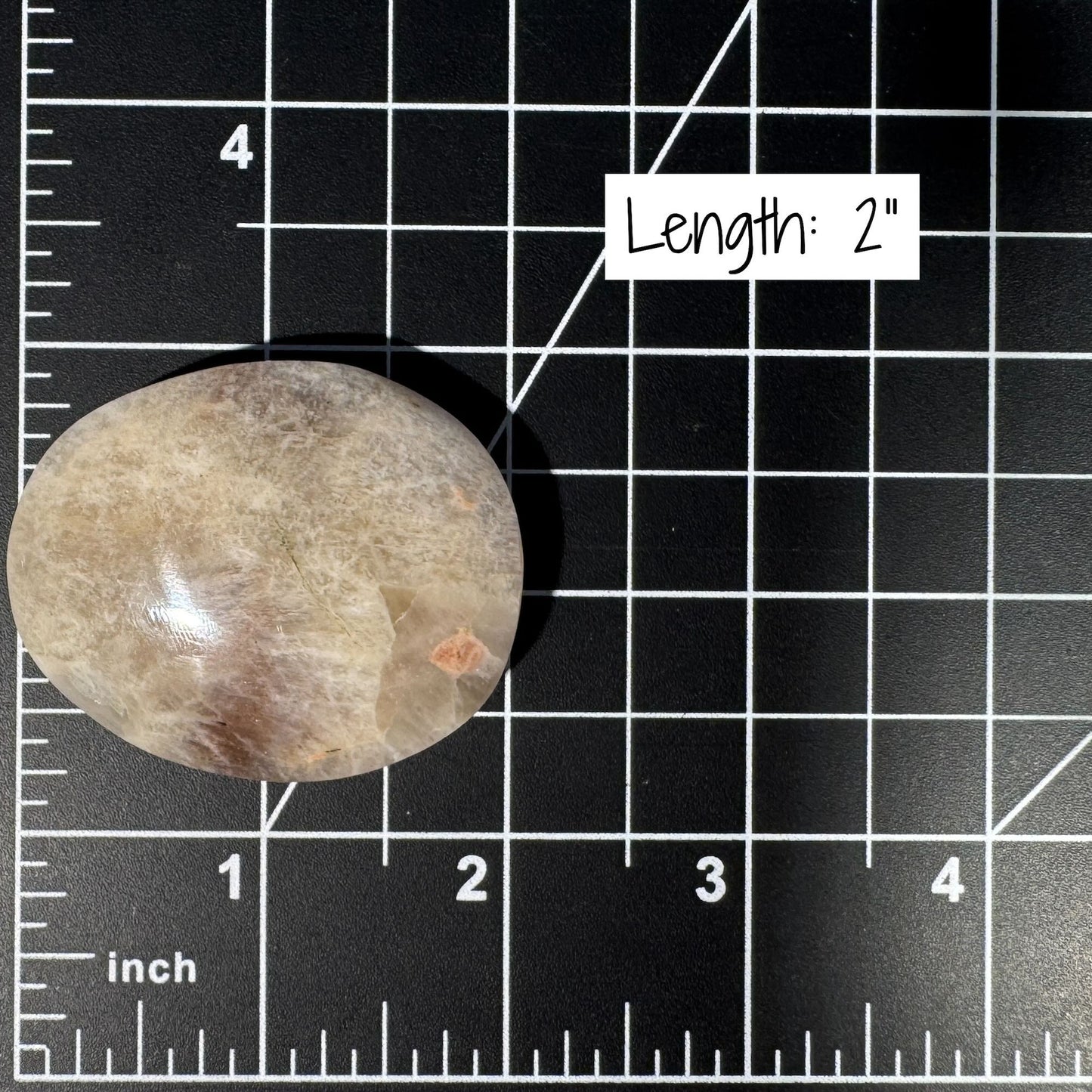 Belomorite palm stone | Russian Moonstone
