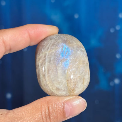 Belomorite palm stone - 1 7/8 × 1 1/2 × 7/8 in - 2.2 oz