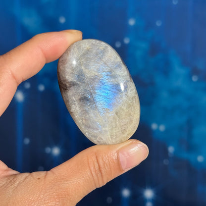 Belomorite palm stone 2 1/4 × 1 3/8 × 7/8 in - 2.3 oz