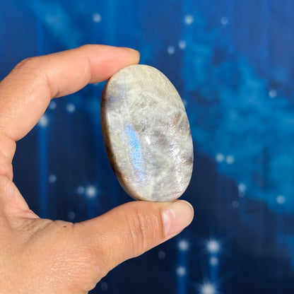 Belomorite palm stone 2 1/4 × 1 3/8 × 7/8 in - 2.3 oz