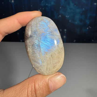 Belomorite palm stone 2 1/4 × 1 3/8 × 7/8 in - 2.3 oz