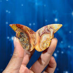 Crazy Lace Agate 3D Butterfly – 0.026 kg