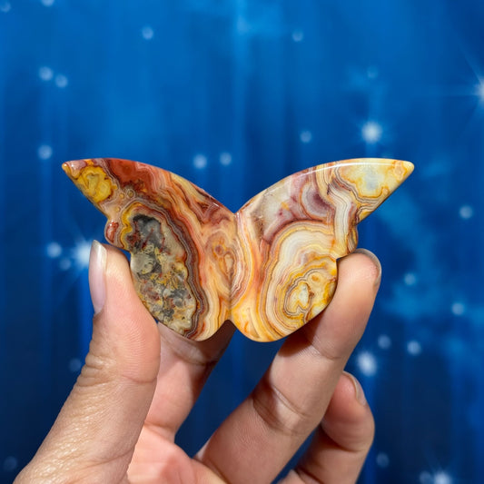 Crazy Lace Agate 3D Butterfly – 0.026 kg