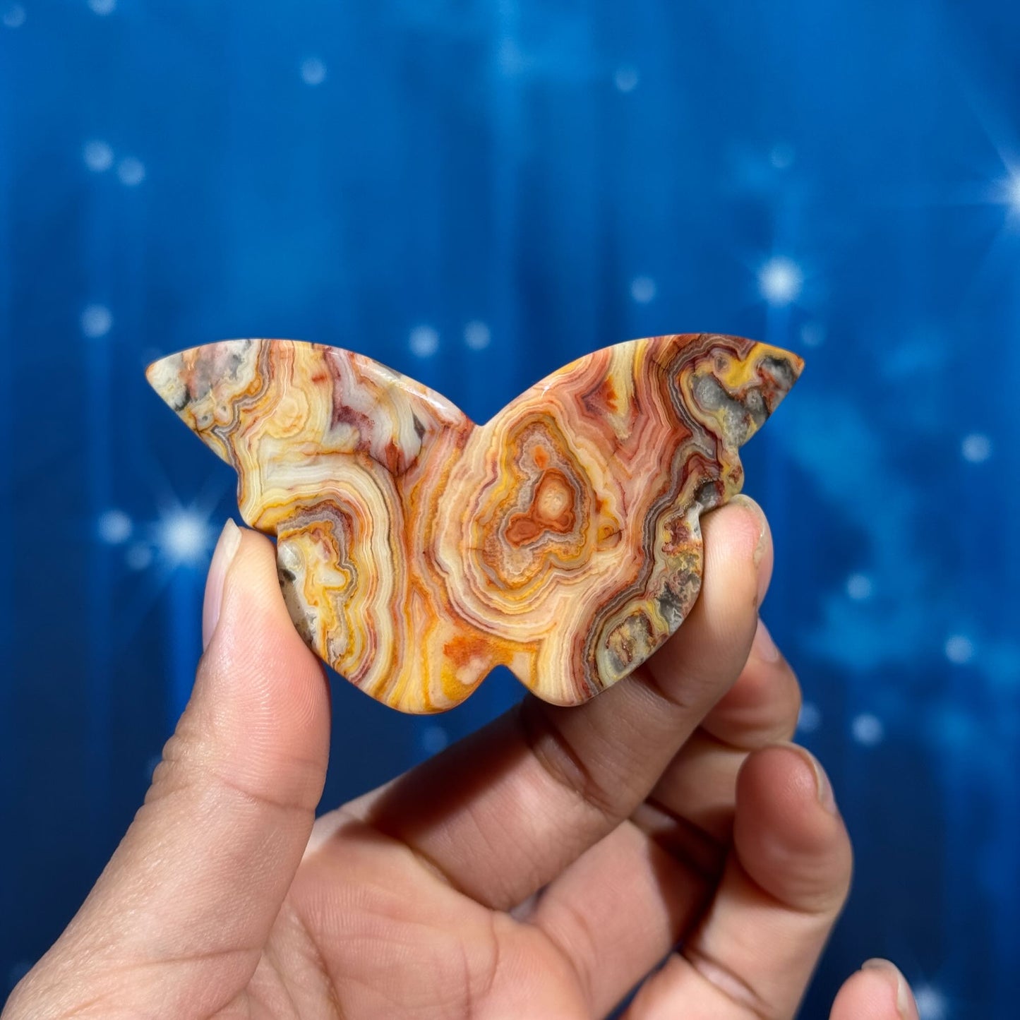 Crazy Lace Agate 3D Butterfly – 0.026 kg