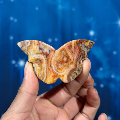 Crazy Lace Agate 3D Butterfly – 0.026 kg
