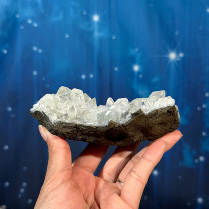 Apophyllite on Matrix – 0.354 kg