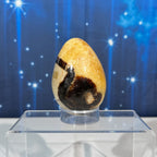 Septarian Egg – UV-Reactive • 0.459 kg