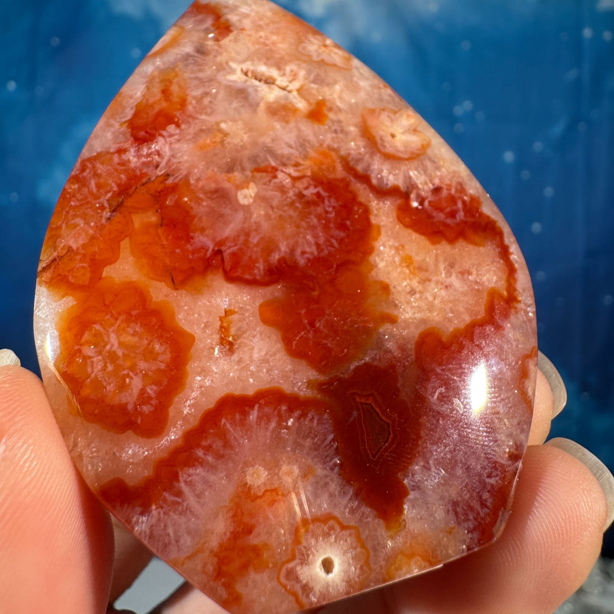 Carnelian free form – Heated • 0.099 kg