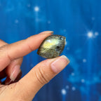 Labradorite Cabochon – Pre-Drilled • 6 grams